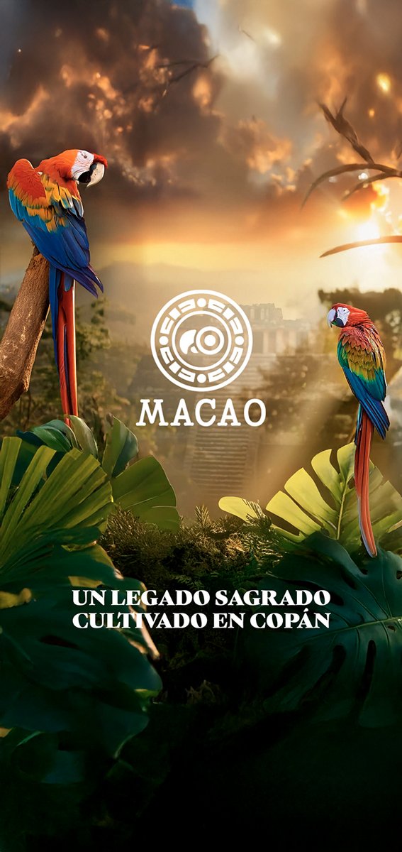 Cartel Publicitario Macao 3
