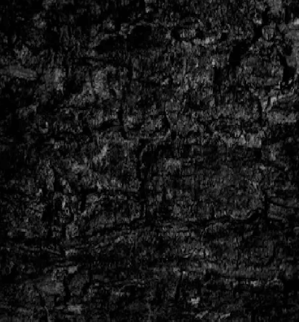 Textura Dark